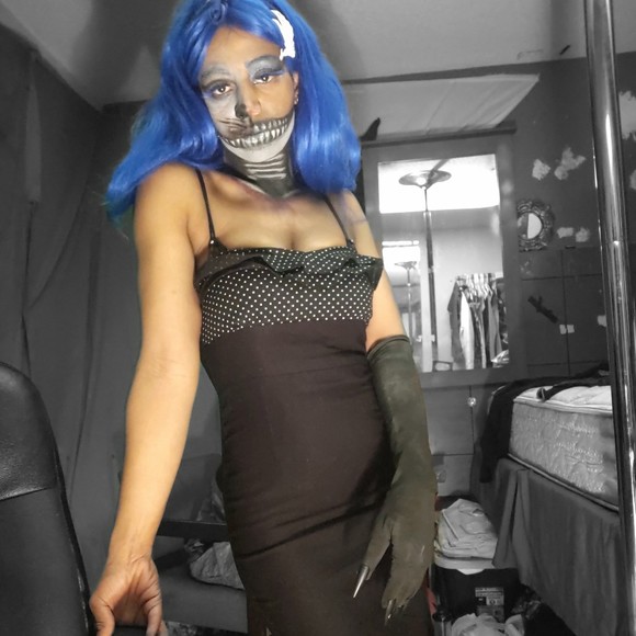 cyanaquillerkat